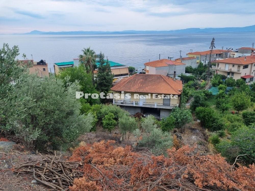 Οικόπεδο 724 τ.μ. προς πώληση, Ήλια Αιδηψού
