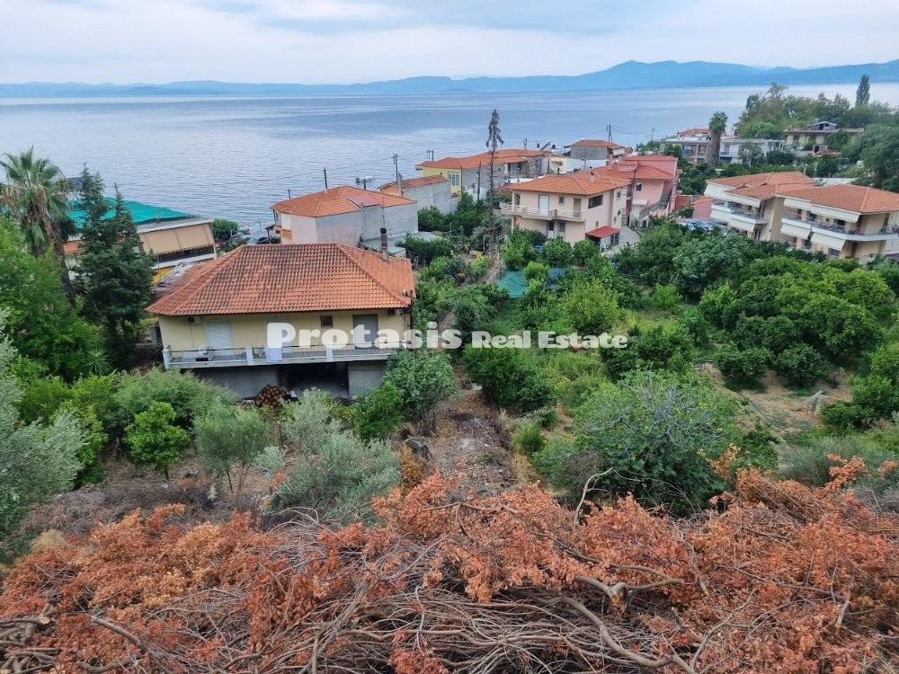 Οικόπεδο 724 τ.μ. προς πώληση, Ήλια Αιδηψού