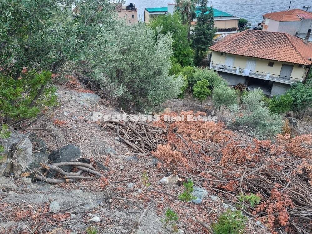 Οικόπεδο 724 τ.μ. προς πώληση, Ήλια Αιδηψού