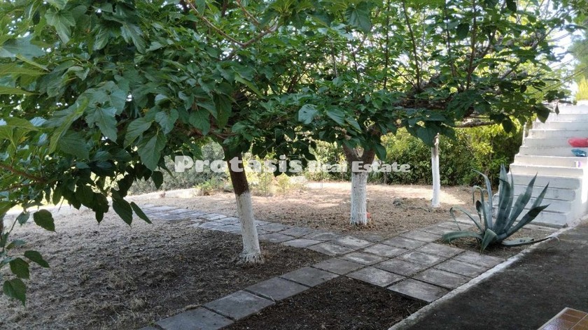 Μονοκατοικία 180τ.μ. για πώληση-Λιχάδα » Άγιος γεώργιος