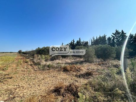 Αγροτεμάχια 6.000τ.μ. για πώληση-Επανομή » Πύργος επανομής