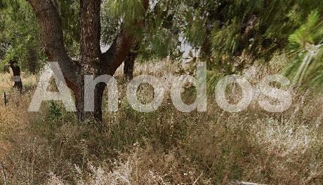 Οικόπεδο 328τ.μ. για πώληση-Γλυκά νερά » Κέντρο
