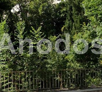 Οικόπεδο 555τ.μ. για πώληση-Χαλάνδρι » Τούφα