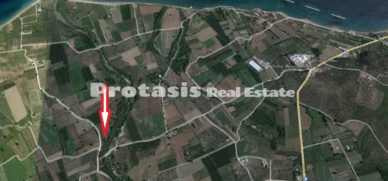 Οικόπεδο 3.780τ.μ. για πώληση-Αρτεμίσιο » Κεφαλές
