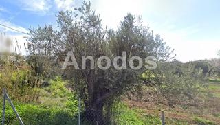 Land plot 1.200 sqm for sale