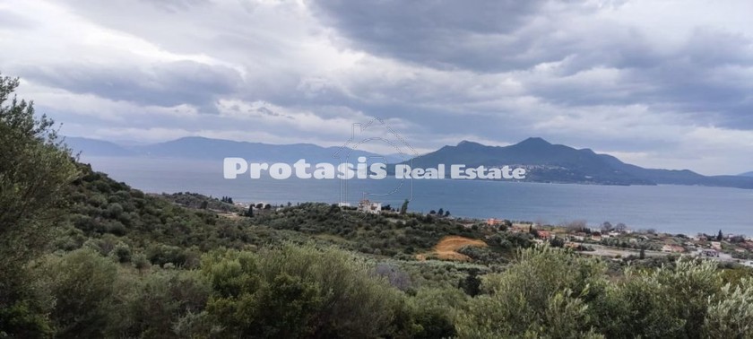Parcel 22.693sqm for sale-Aidipsos