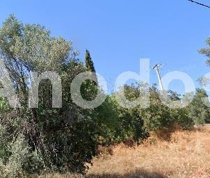 Οικόπεδο 4.596 τ.μ. προς πώληση, Ανάβρυτα Αμαρουσίου