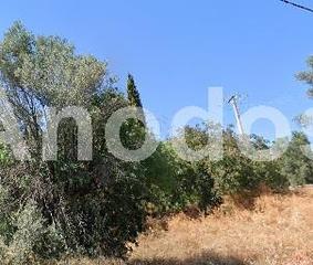 Οικόπεδο 4.596 τ.μ. προς πώληση