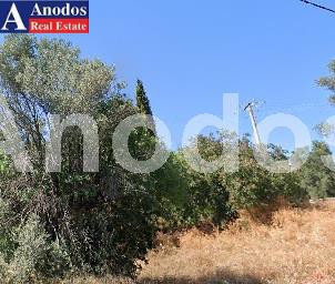 Land plot 4.680sqm for sale-Marousi » Anavrita