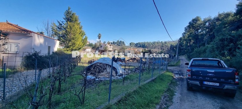 Land plot 1.200sqm for sale-Artemisio » Asminio