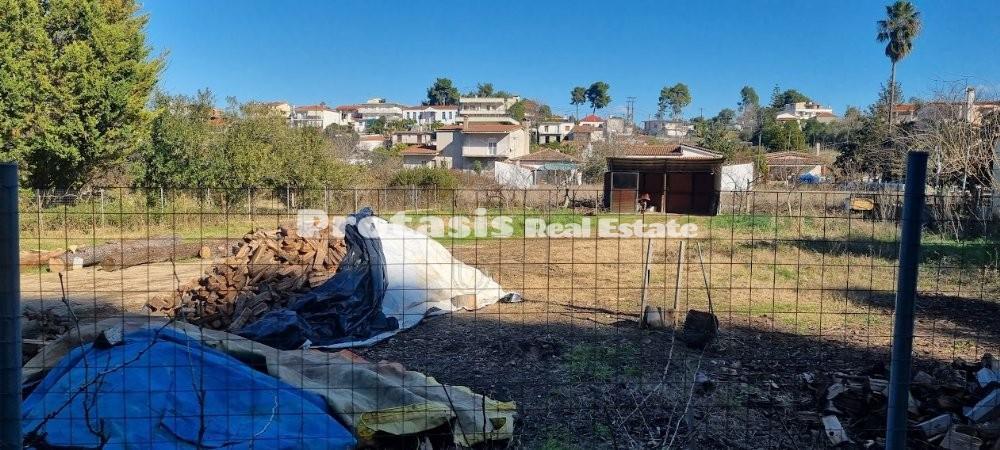 Οικόπεδο 1.200 τ.μ. προς πώληση, Ασμήνιο