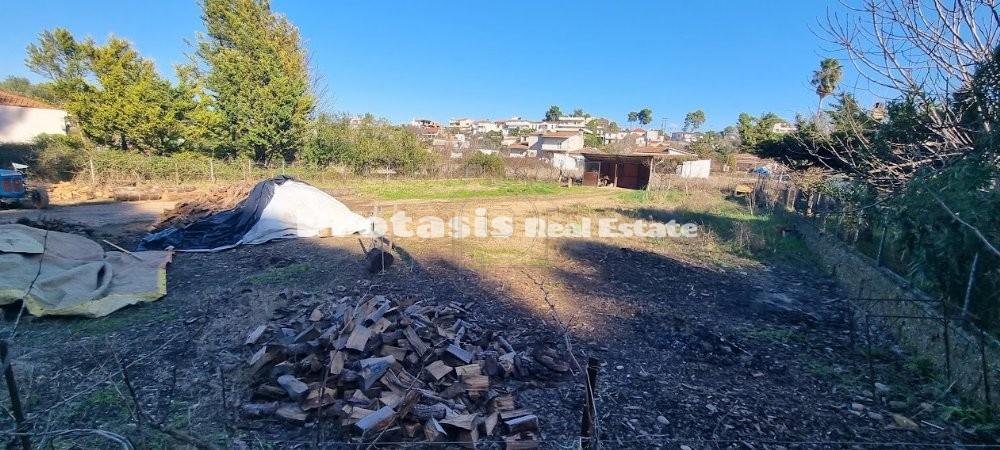 Οικόπεδο 1.200 τ.μ. προς πώληση, Ασμήνιο