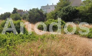 Οικόπεδο 386τ.μ. για πώληση-Αγία παρασκευή » Πευκάκια