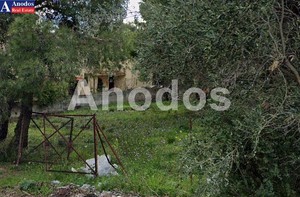 Land plot 1.000sqm for sale-Acharnes » Thrakomakedones