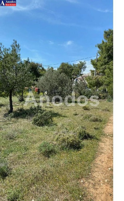 Land plot 1.170 sqm for sale