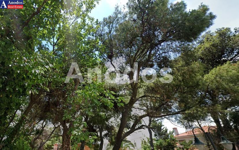 Οικόπεδο 878τ.μ. για πώληση-Κρυονέρι » Κέντρο