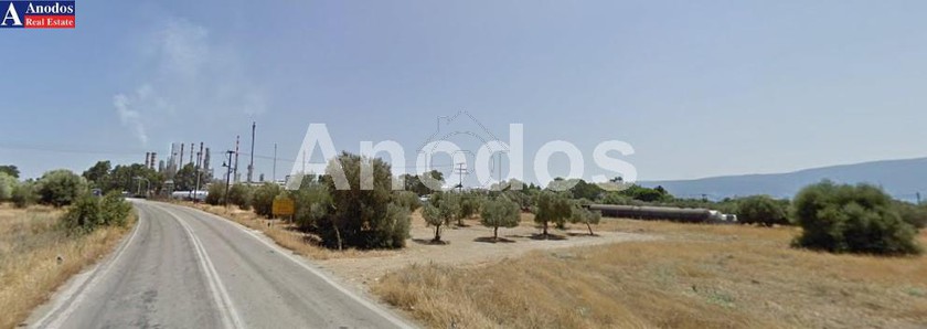 Land plot 40.000 sqm for sale, Corinthia, Agioi Theodoroi