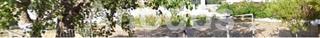 Land plot 444 sqm for sale
