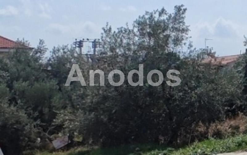 Οικόπεδο 560τ.μ. για πώληση-Γέρακας » Κέντρο