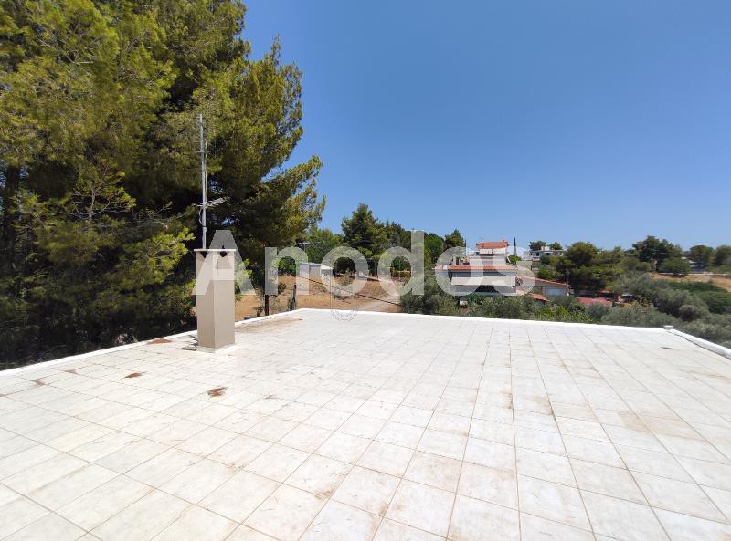Μονοκατοικία 200τ.μ. για πώληση-Ωρωπός » Κέντρο