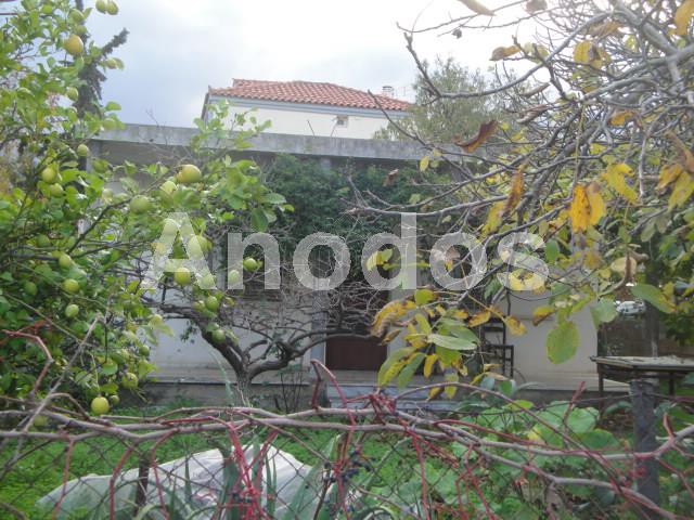 Οικόπεδο 240τ.μ. για πώληση-Αρτέμιδα (λούτσα) » Κέντρο
