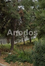 Land plot 800sqm for sale-Filothei » Drosopoulou