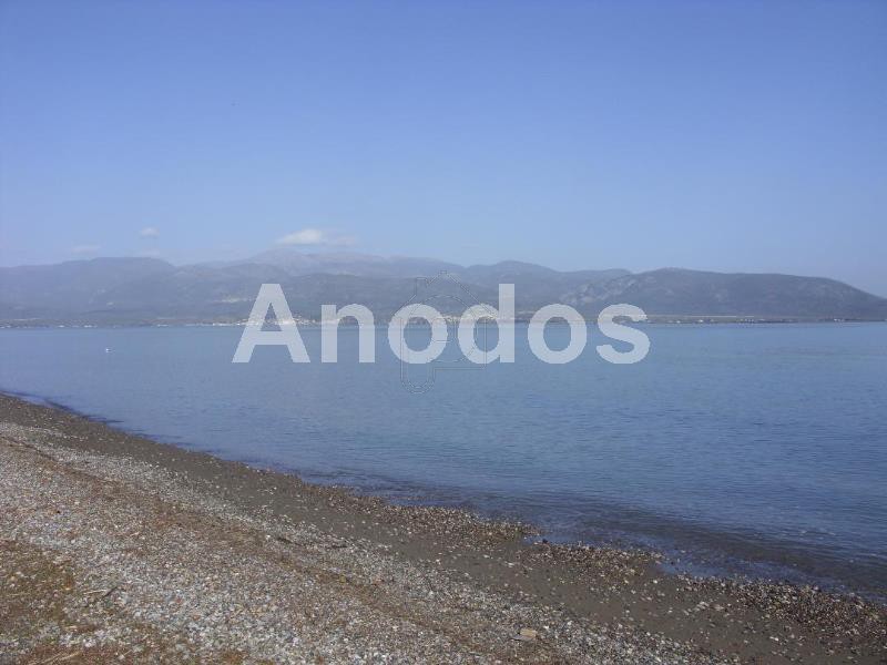 Οικόπεδο 14.756τ.μ. για πώληση-Καμένα βούρλα » Κέντρο
