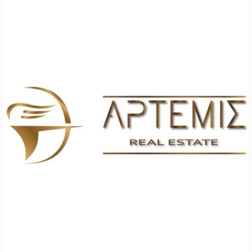 ΑΡΤΕΜΙΣ Real Estate 