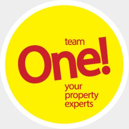 TeamOnePro Realty
